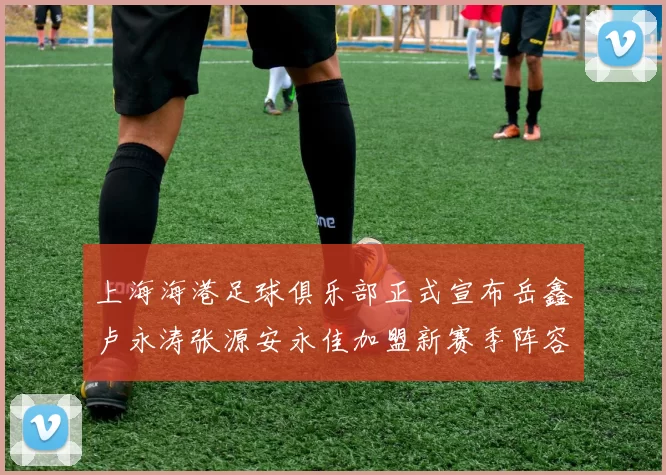 上海海港足球俱乐部正式宣布岳鑫卢永涛张源安永佳加盟新赛季阵容更新